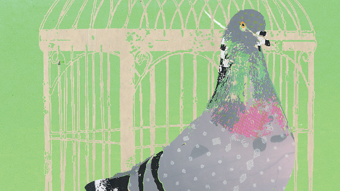 ​​​​Pigeons (détails), par Jacinthe Loranger. 