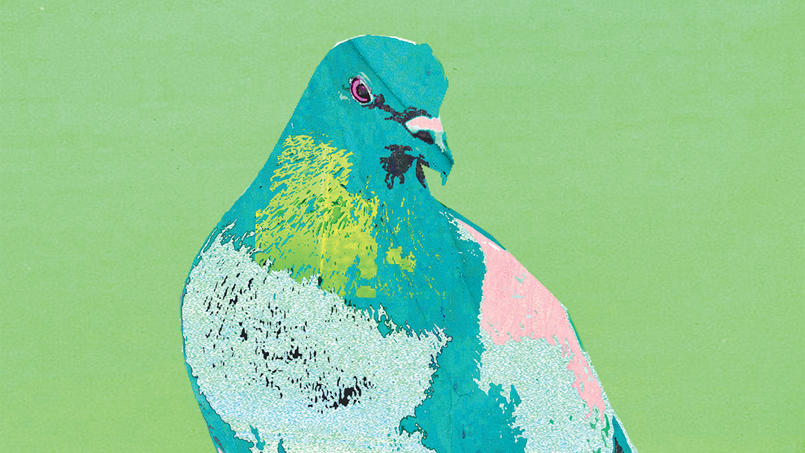 ​​Pigeons (détails), par Jacinthe Loranger. 